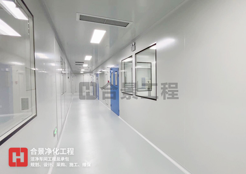 醫(yī)療器械潔凈廠房項目 醫(yī)療器械潔凈廠房項目